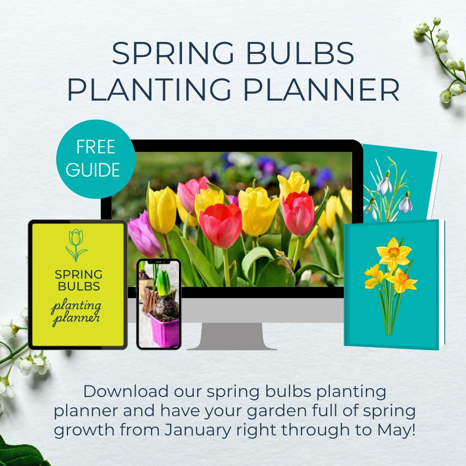 spring flower planting planner mock up graphic